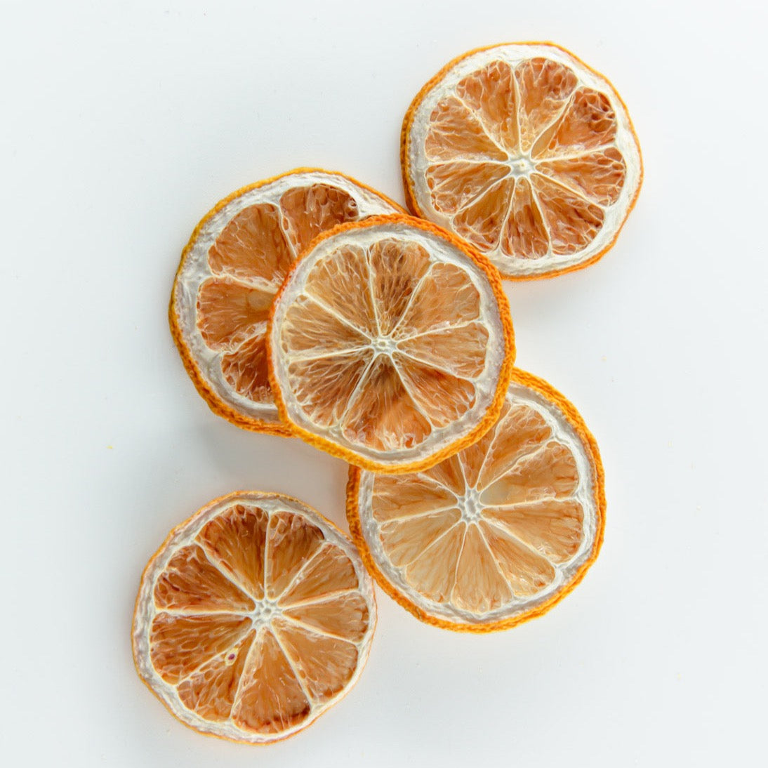 F n Lemons > Dried Lemon Cocktail Garnish – 10 Slice