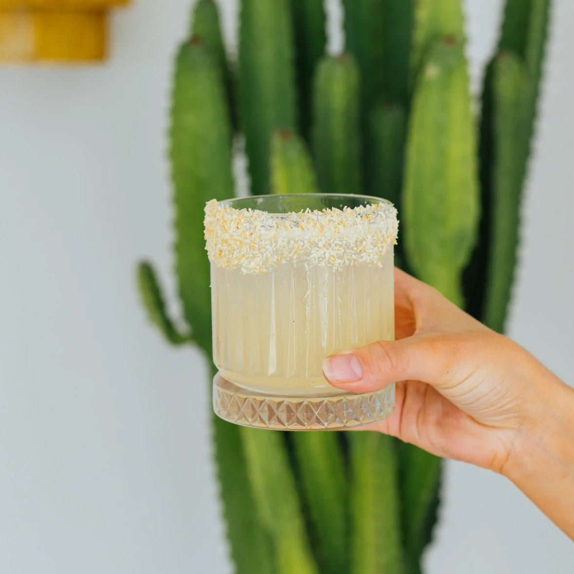 Margarita Party Pack – 60 Serves